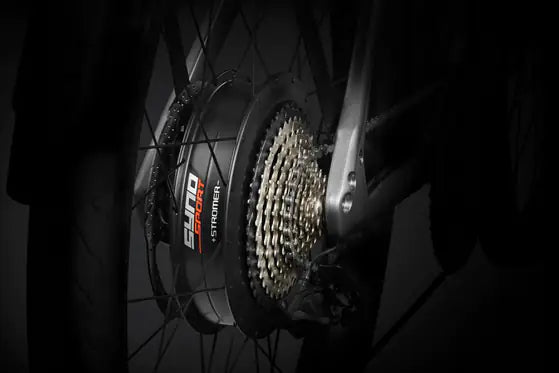 Stromer ST5 ABS | Fullsuspenisonund Seat Post | 983 Wh Akku