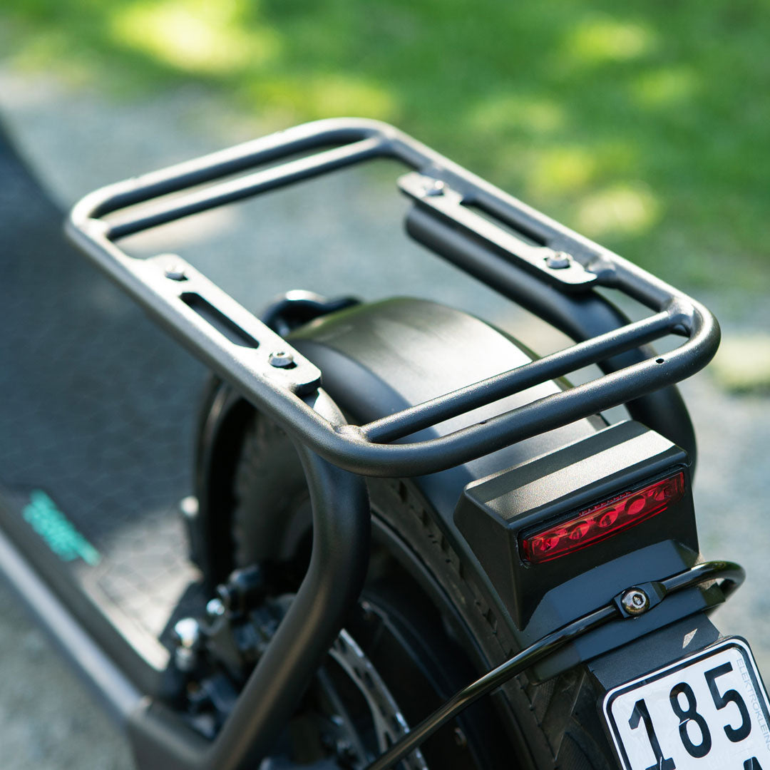EGRET Carrier für Pro